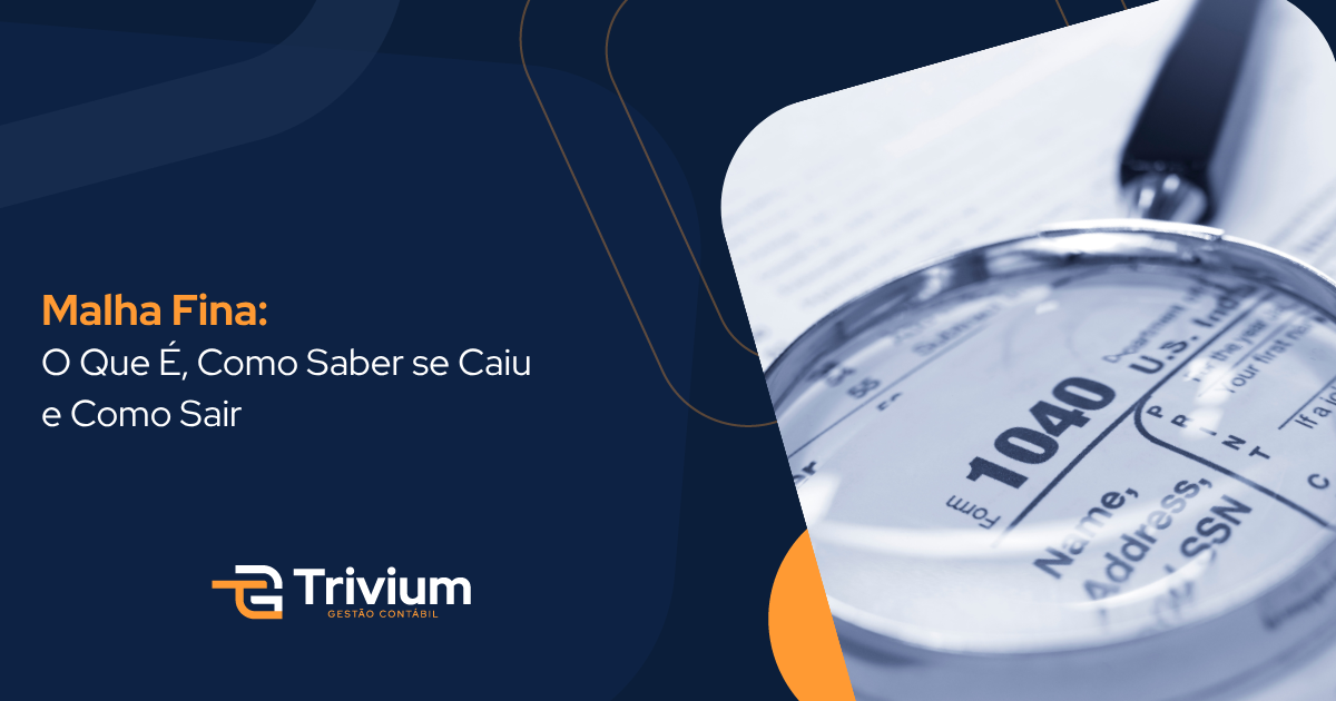 Malha Fina: O Que É, Como Saber se Caiu e Como Sair