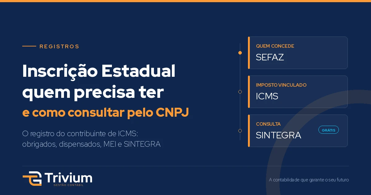 Inscrição Estadual: o que é, quem precisa ter e como consultar
